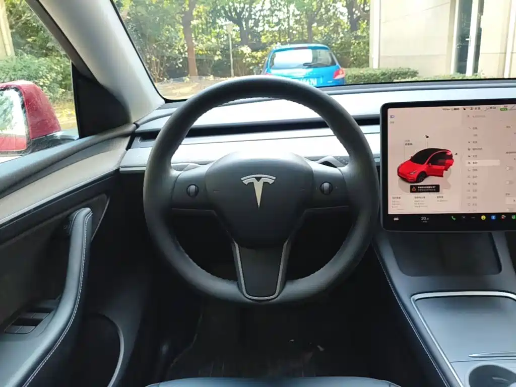 Tesla Model Y — миниатюра 11