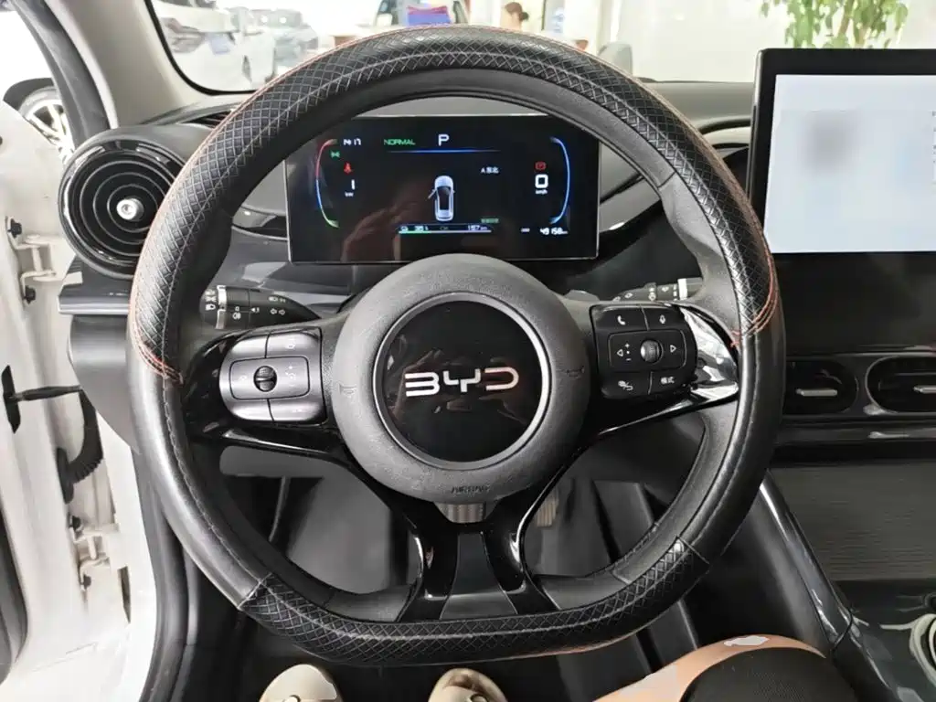 BYD e2 — миниатюра 11