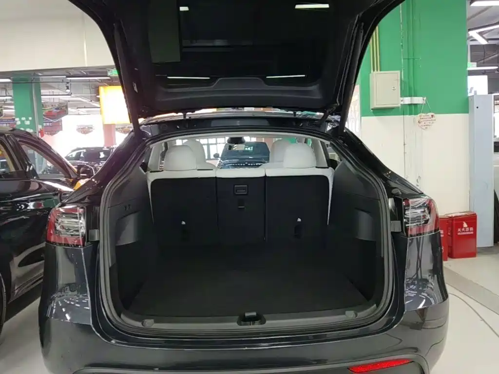 Tesla Model Y — миниатюра 19