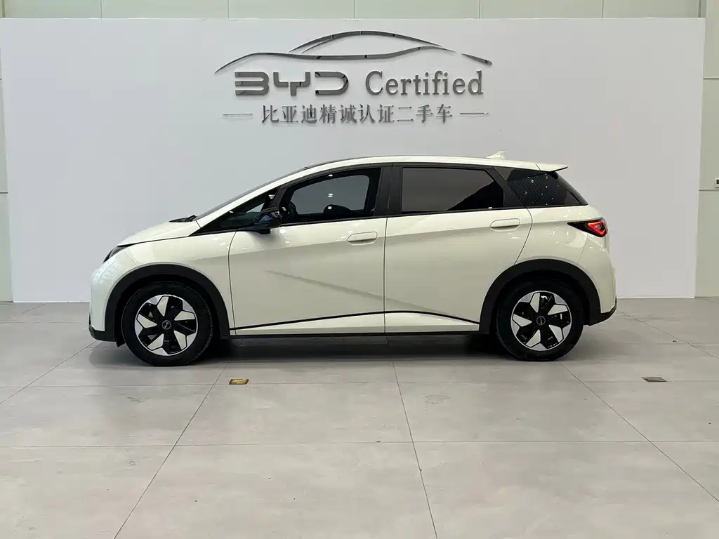 BYD Dolphin — миниатюра 3