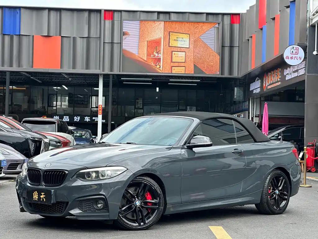 BMW 2 Series (Import) — миниатюра 5