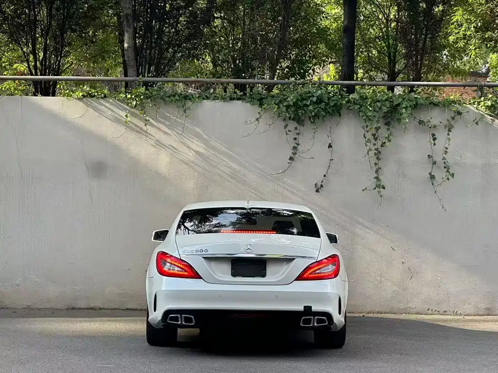 Mercedes-Benz CLS CLS 300 CGI, фото 7