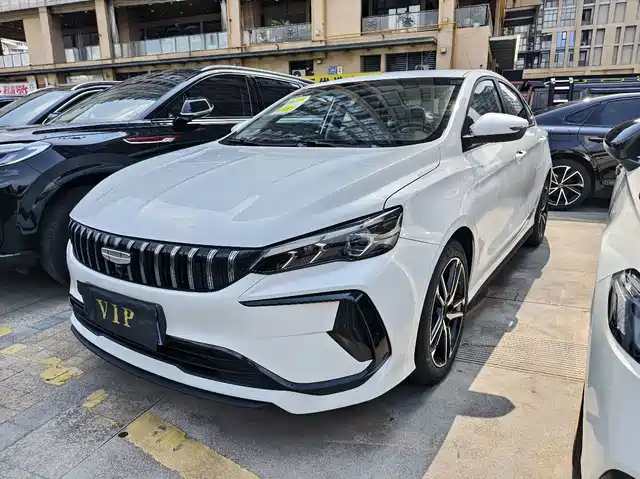 2025 Geely Binrui