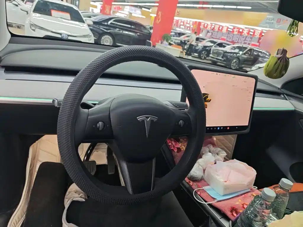 Tesla Model Y — миниатюра 10