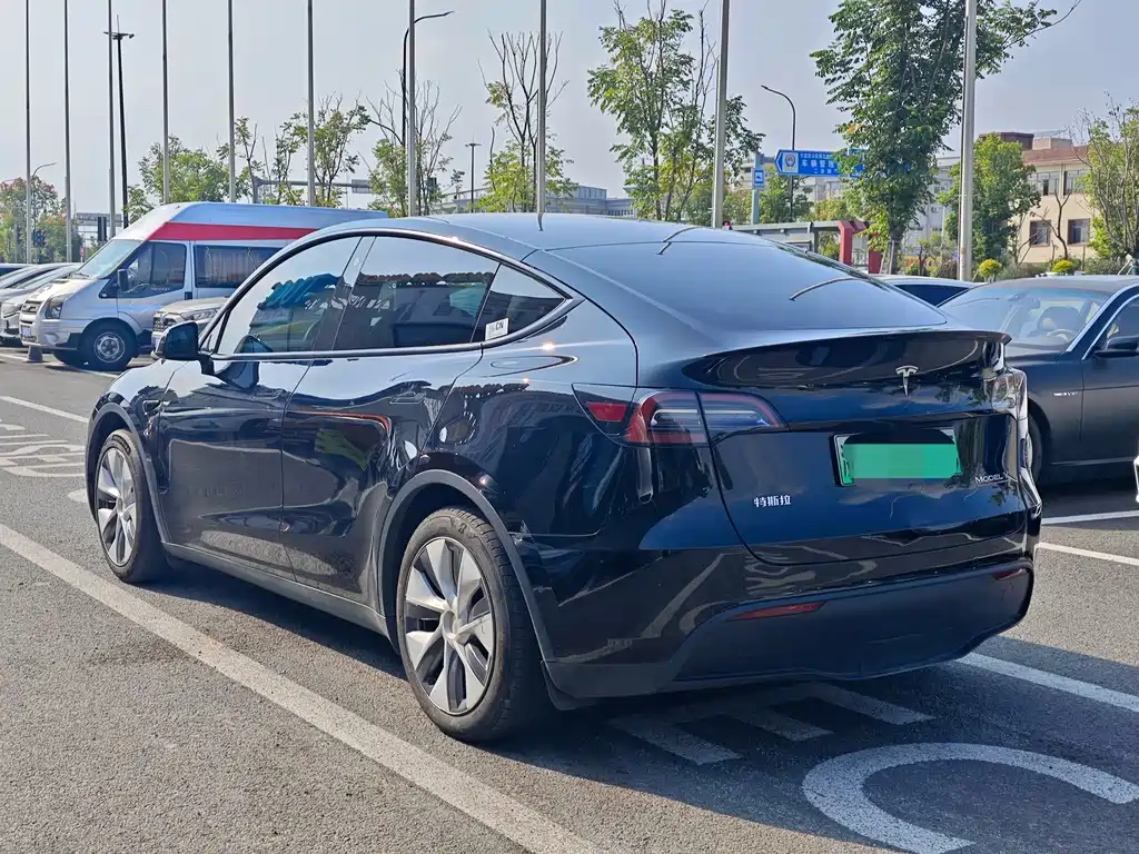 Tesla Model Y — миниатюра 7