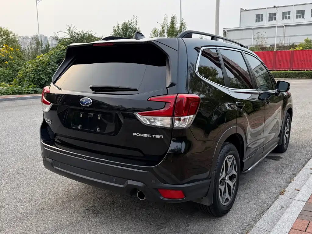 Subaru Forester — миниатюра 17