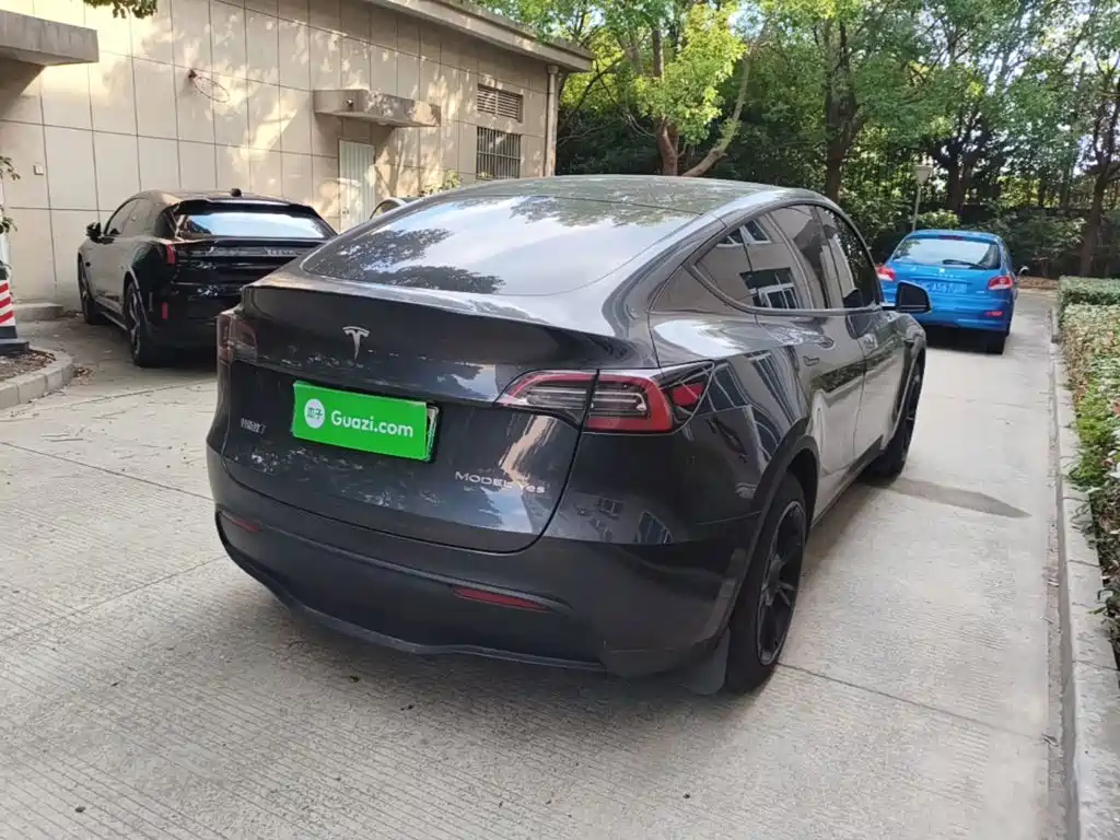 Tesla Model Y — миниатюра 7