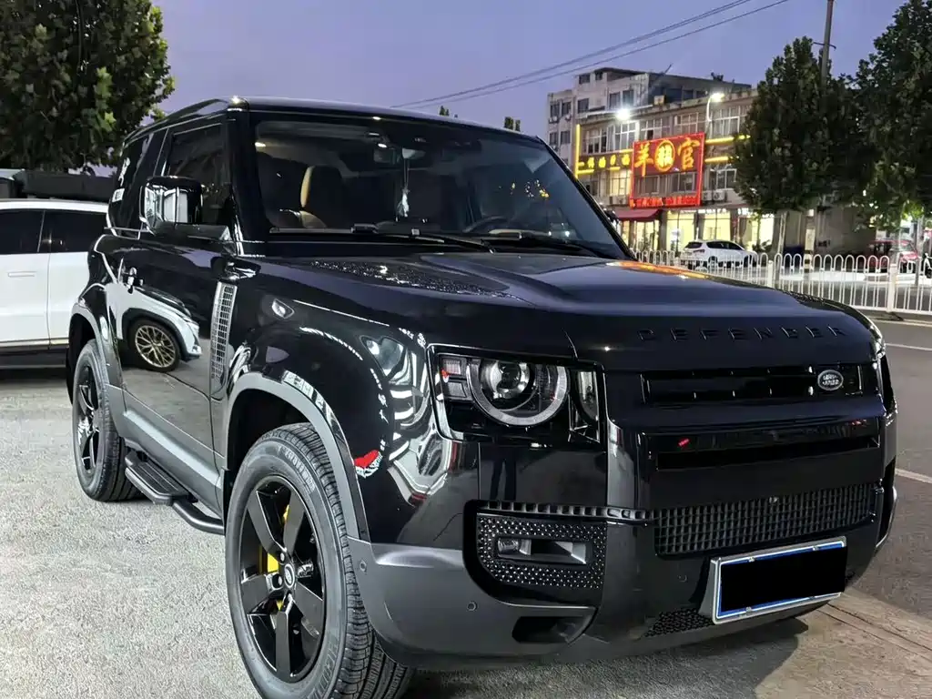 Land Rover Defender — миниатюра 3