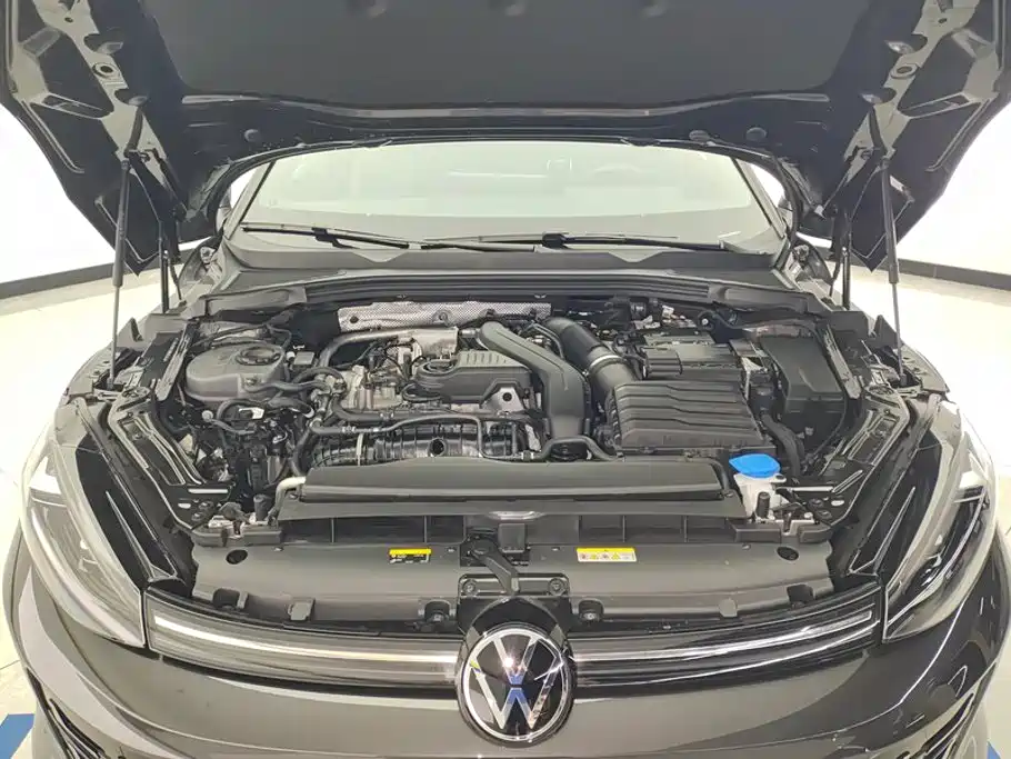 Volkswagen Lamando — миниатюра 10