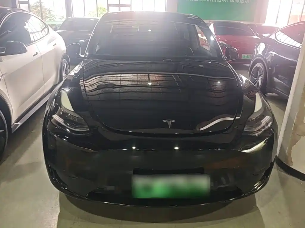 Tesla Model Y — миниатюра 3