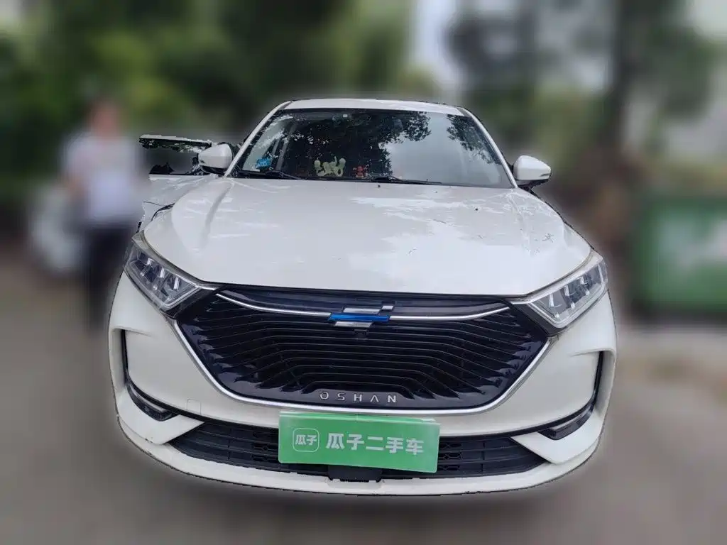 Oshan Oushang X7 — миниатюра 23