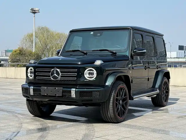 MERCEDES-BENZ G CLASS 2019