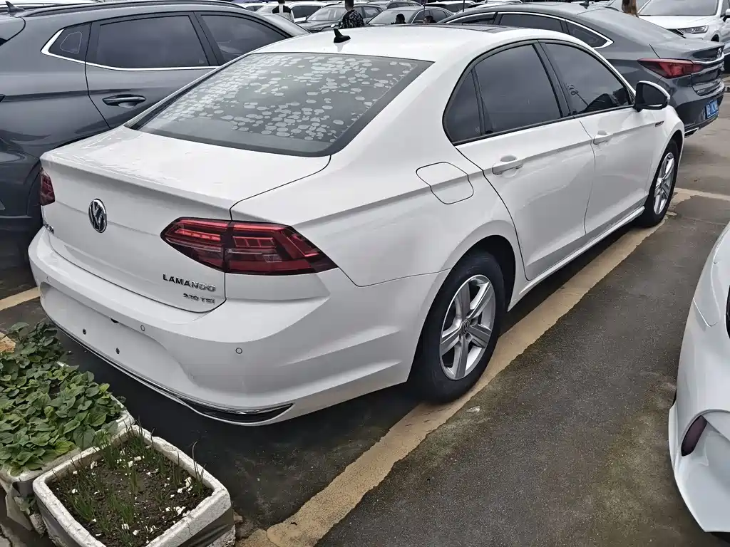 Volkswagen Lamando — миниатюра 13
