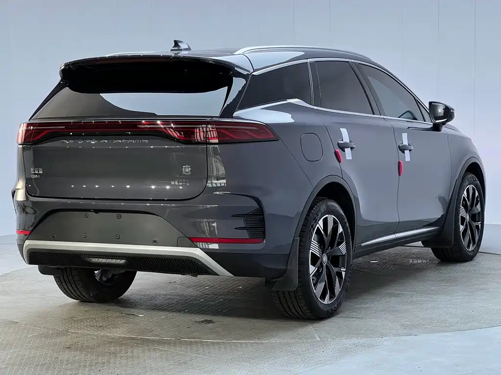 BYD Tang New Energy — миниатюра 22