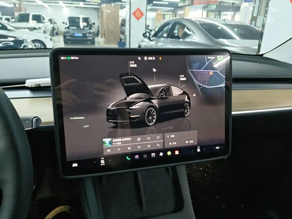 Tesla Model Y — миниатюра 13