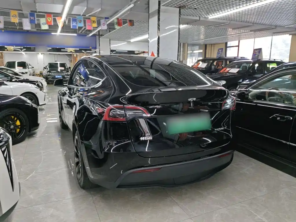 Tesla Model Y — миниатюра 5