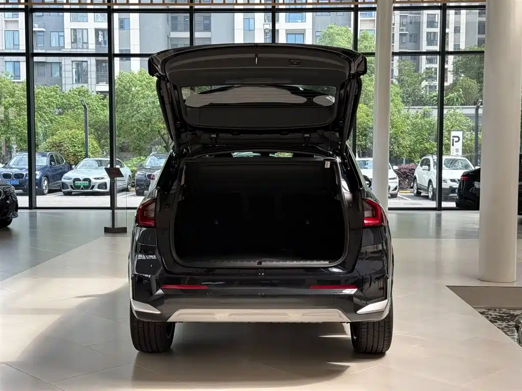 BMW X1 2024 sDrive25Li X