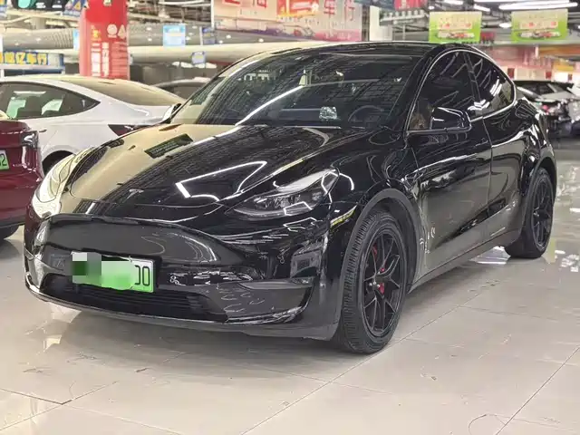 TESLA MODEL Y 2021