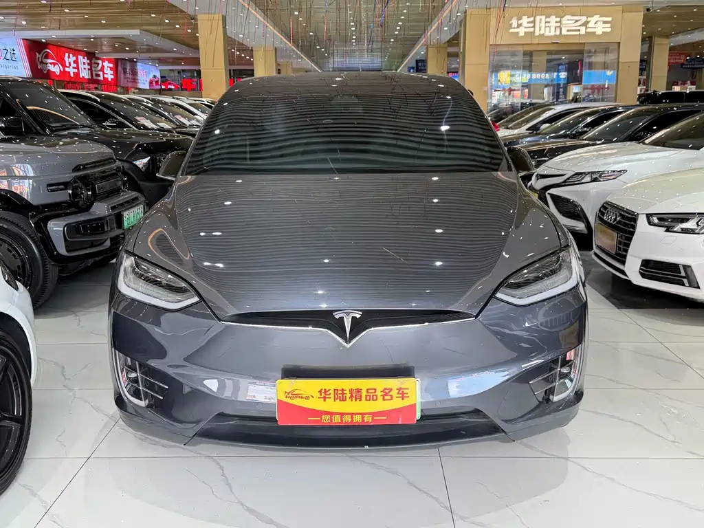 Tesla Model X — миниатюра 2
