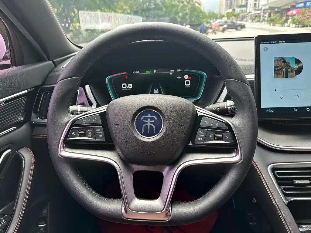 BYD PLUS — миниатюра 10