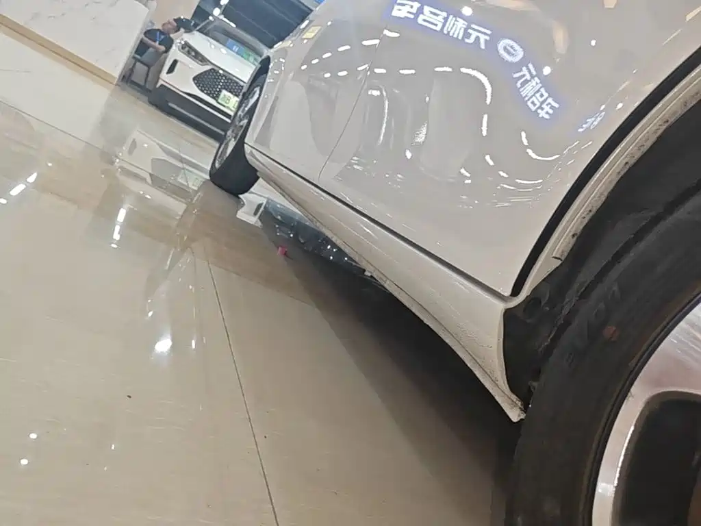 Ora Ora White Cat — миниатюра 22