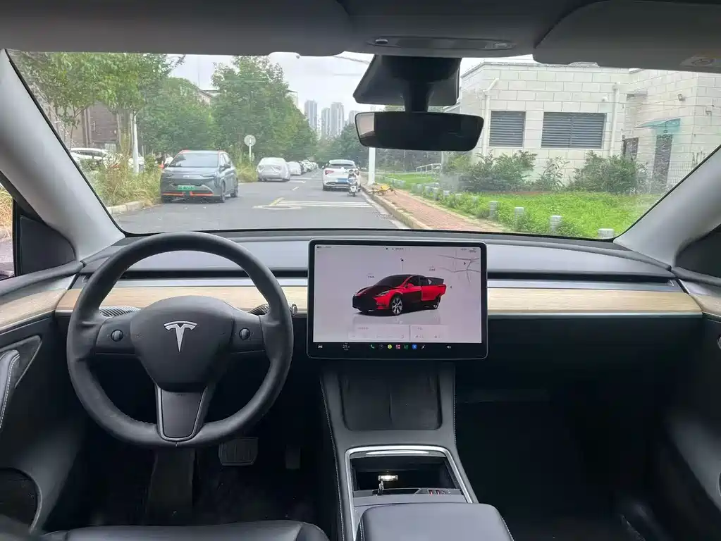 Tesla Model Y — миниатюра 6