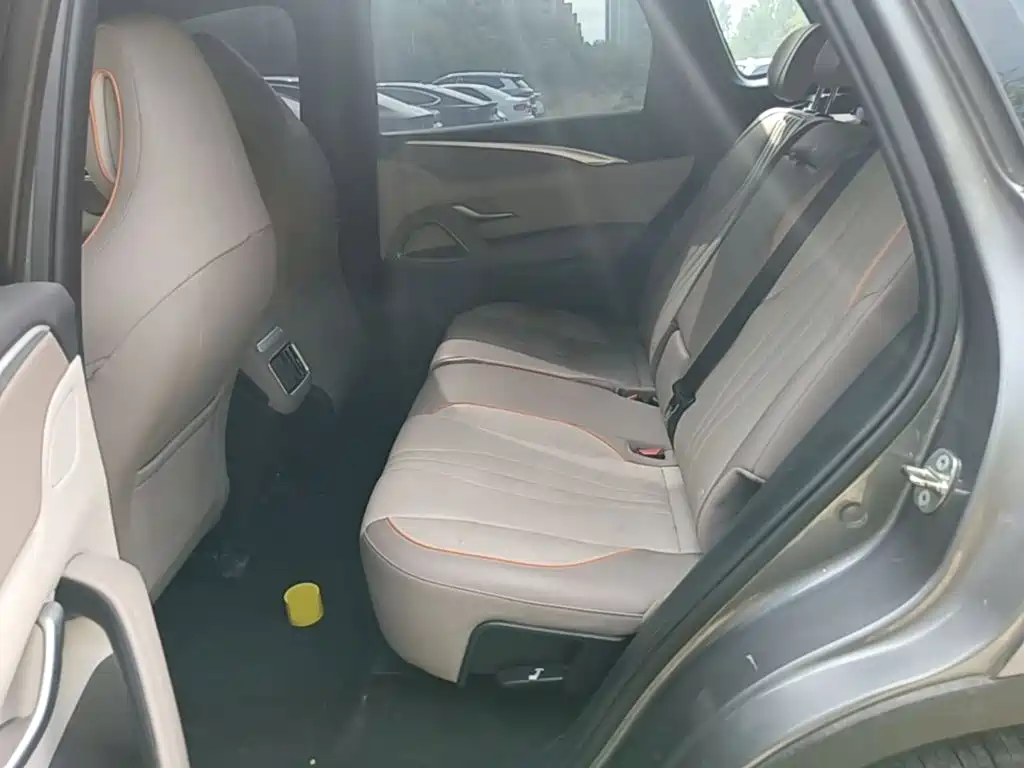 BYD Pro New Energy — миниатюра 17