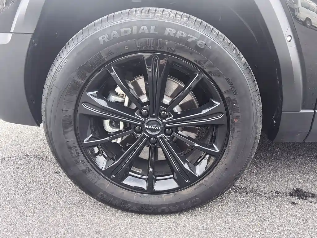Haval Menglong New Energy — миниатюра 22