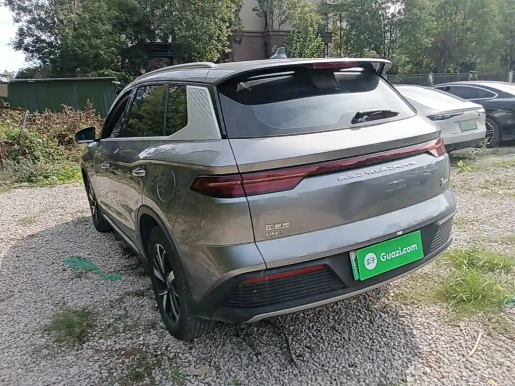 BYD Pro New Energy — миниатюра 5