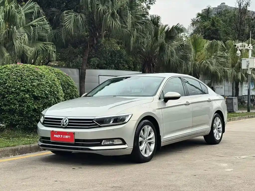 Volkswagen Magotan 2018 330TSI DSG Luxury