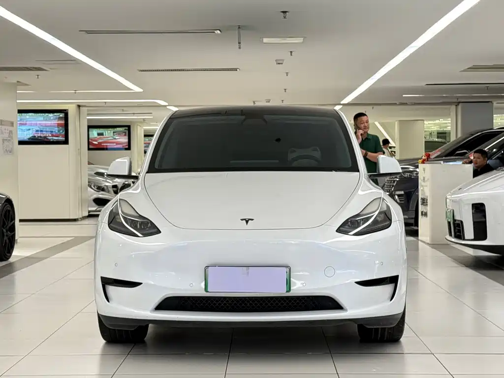 Tesla Model Y — миниатюра 2
