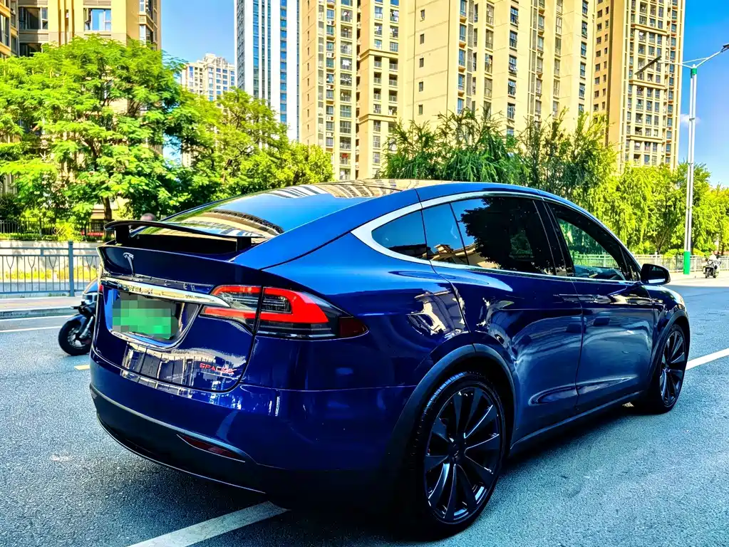 Tesla Model X — миниатюра 3