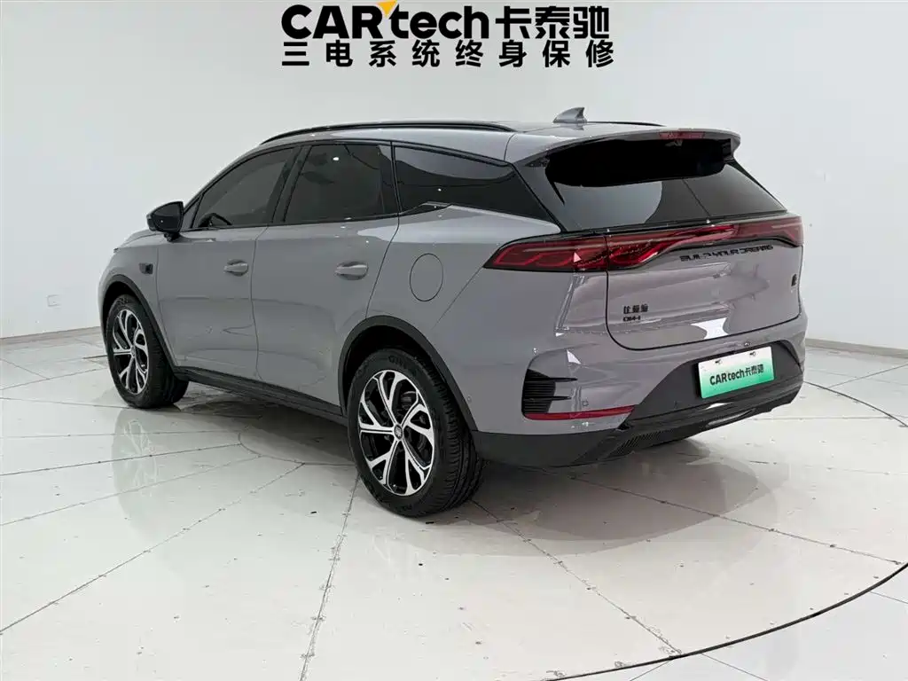 BYD TANGXIN ENERGY