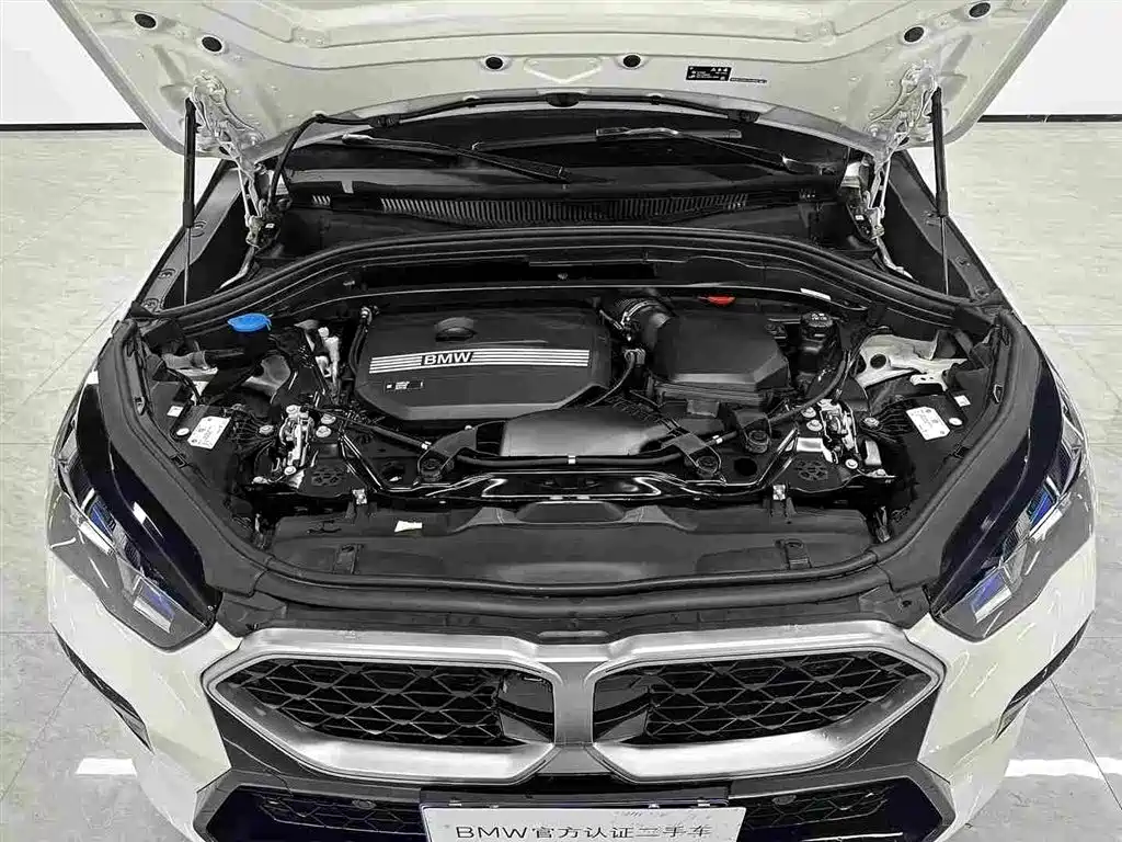BMW X2 (Import) — миниатюра 15