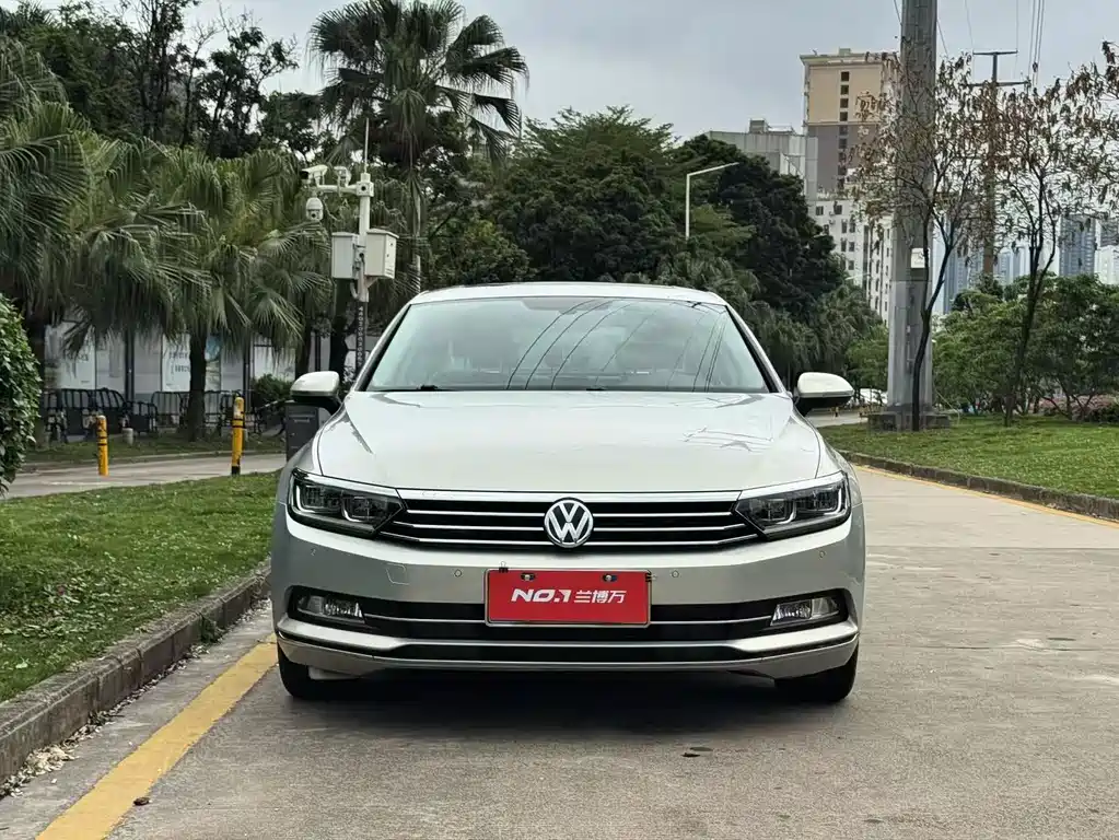 Volkswagen Magotan 2018 330TSI DSG Luxury