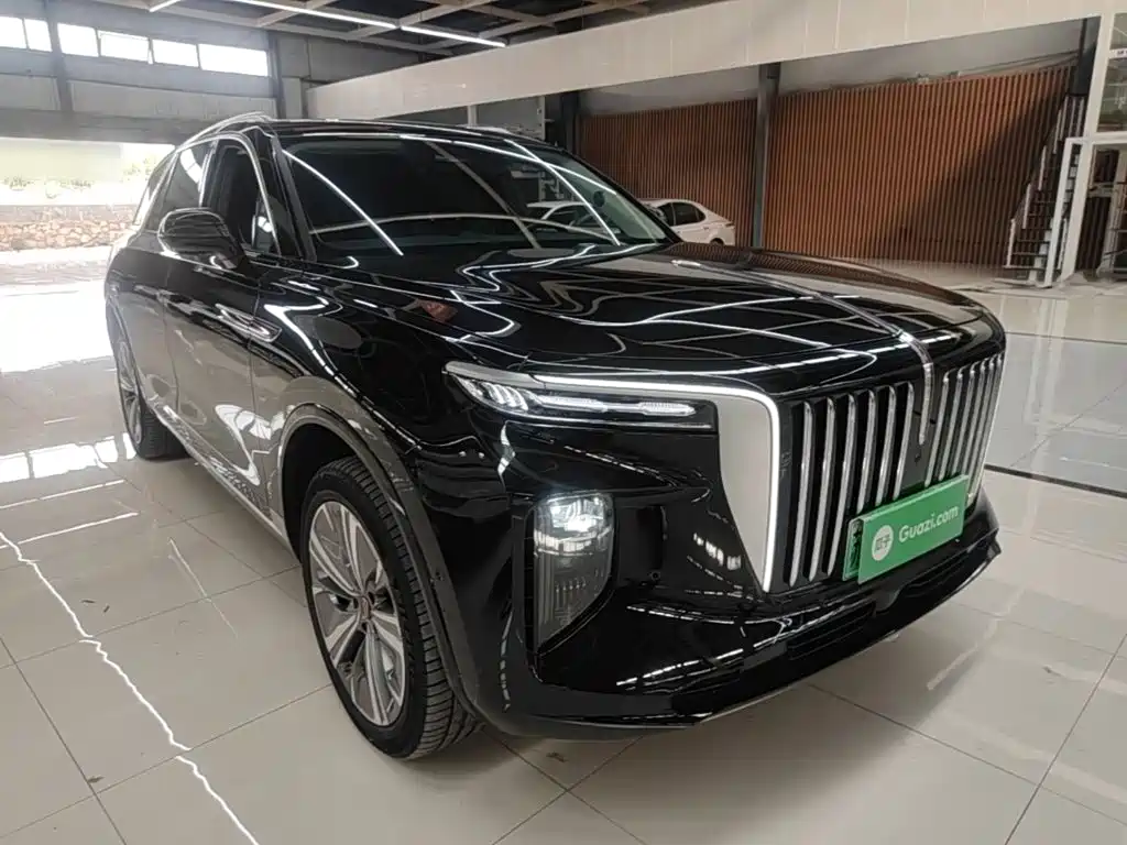 Hongqi Hongqi E-HS9 — миниатюра 4