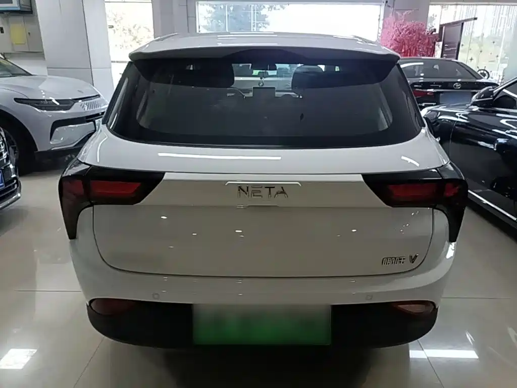 Neta Neta V — миниатюра 6