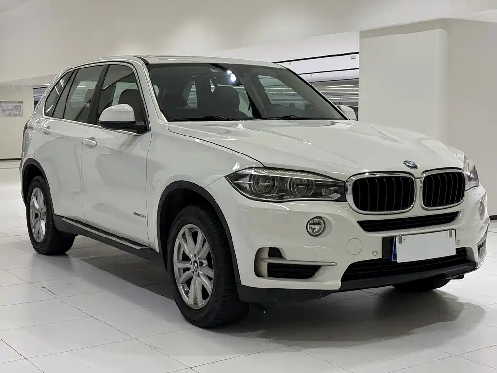 BMW X5 (Import) — миниатюра 3
