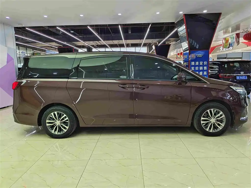 Buick GL8 — миниатюра 14