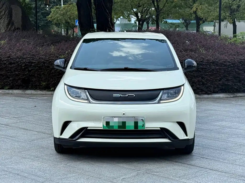 BYD Dolphin — миниатюра 2