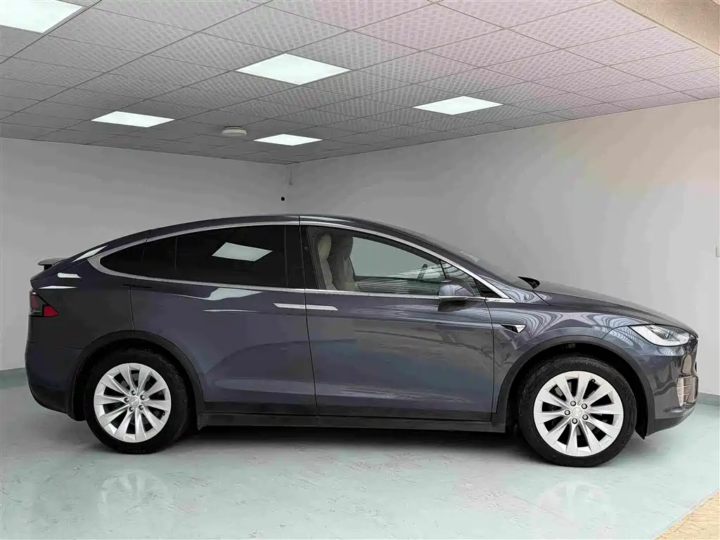 Tesla Model X — миниатюра 3