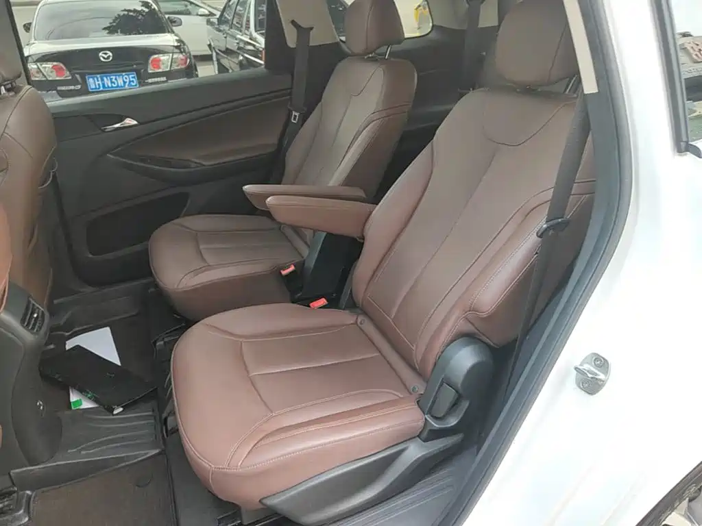 Buick GL6 — миниатюра 17