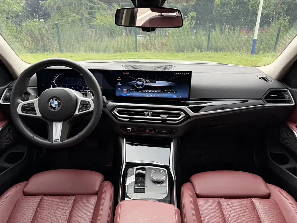 BMW 3 Series 320Li M Sport Package, фото 10