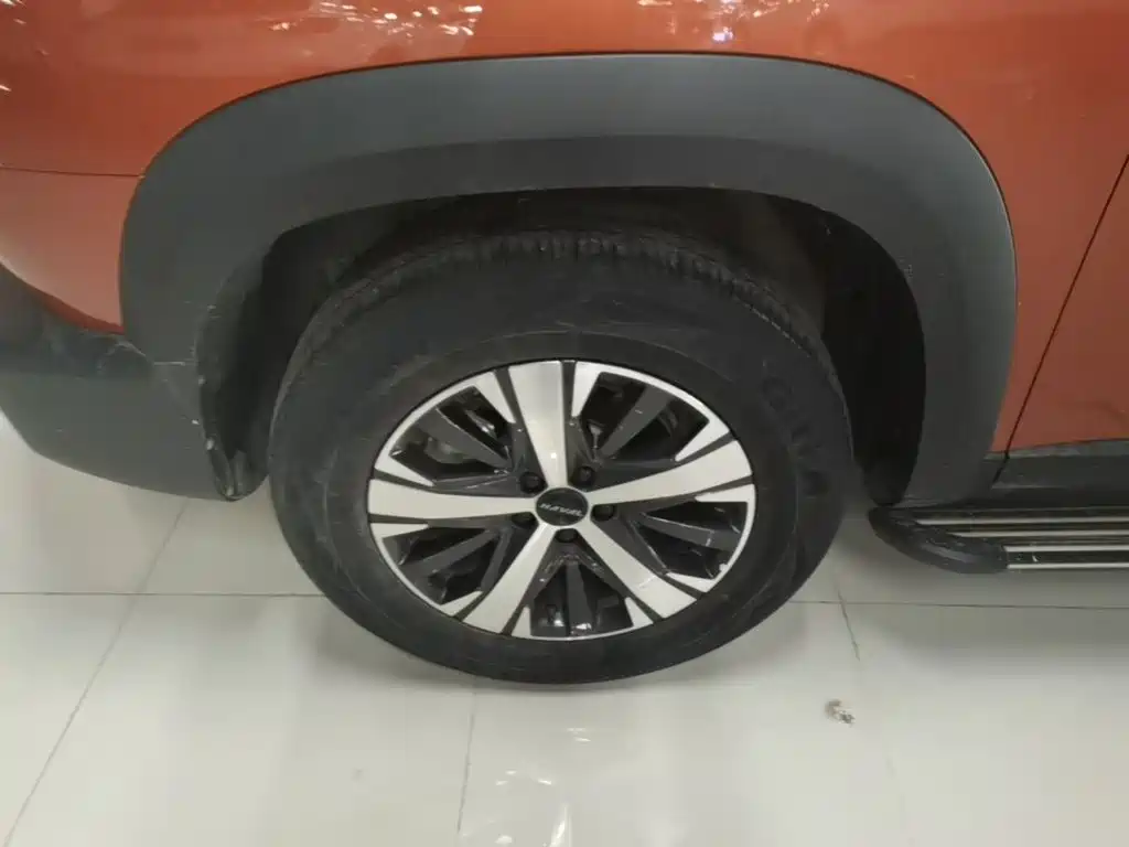 Haval Big Dog — миниатюра 23