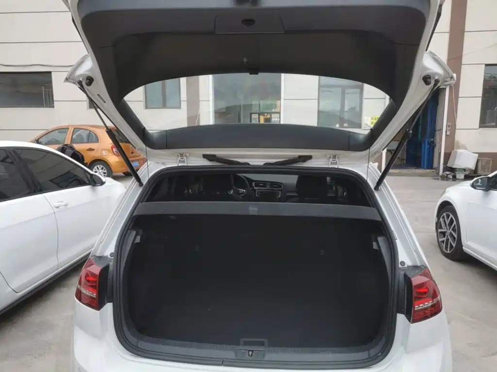 Volkswagen Golf — миниатюра 19