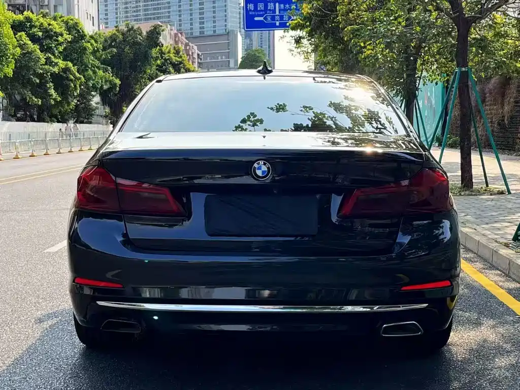 BMW 5 Series 5 2020 530Li Premium Luxury