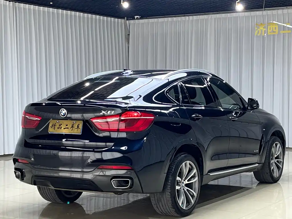 BMW X6 — миниатюра 7