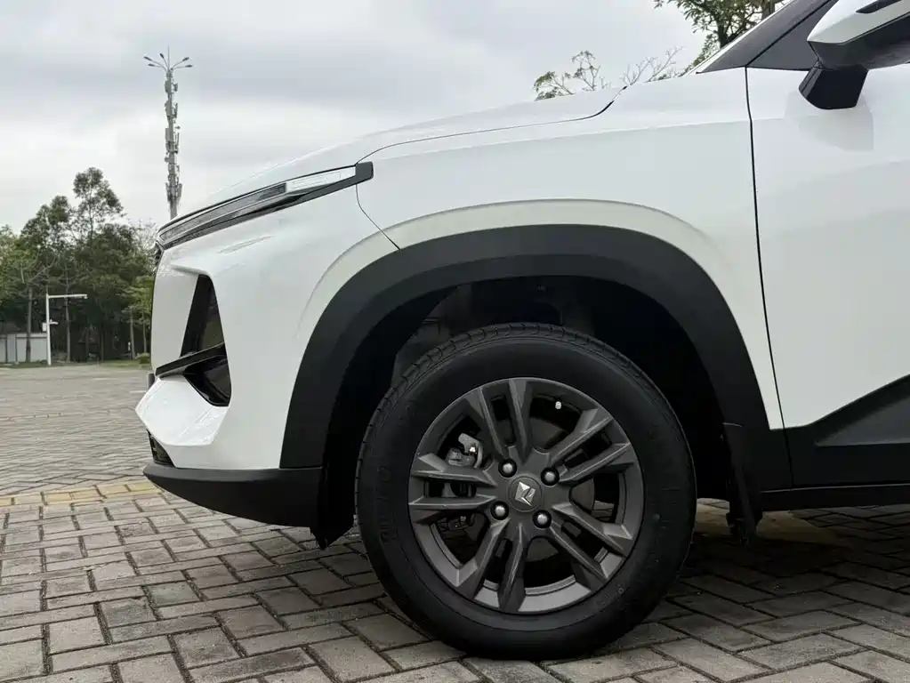 Baojun RS-3 1.5L CVT Smart Elite Type, фото 11
