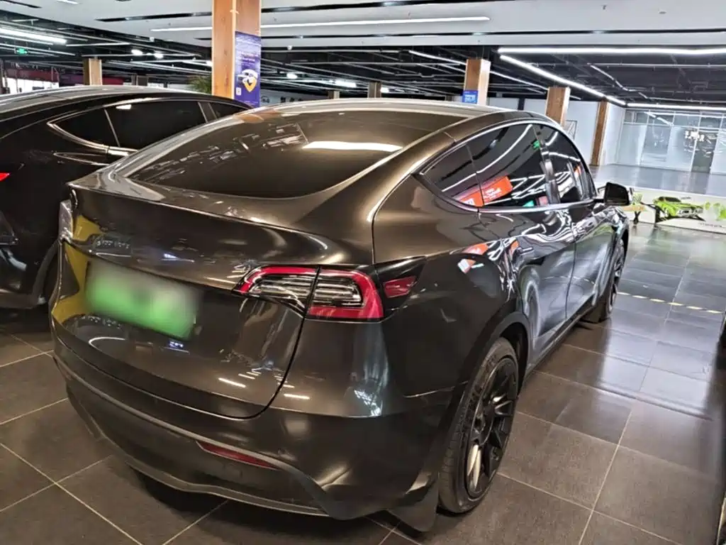 Tesla Model Y — миниатюра 7