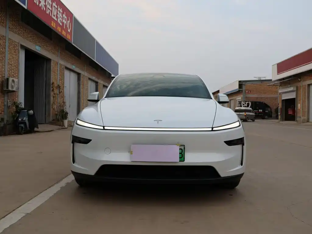 Tesla Model Y — миниатюра 2